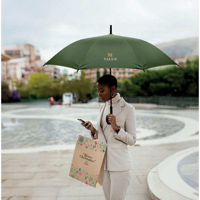 Windproof Regenschirm 23