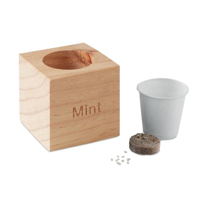 Kräuterpflanz-Set