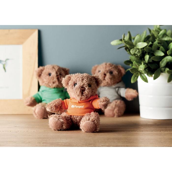 Teddybär mit Hoody