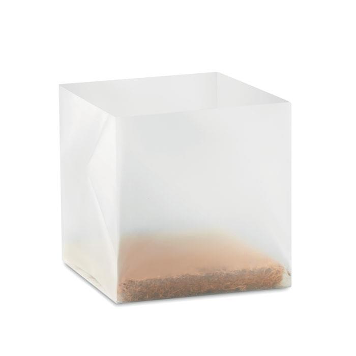 Pflanz-Set Minze