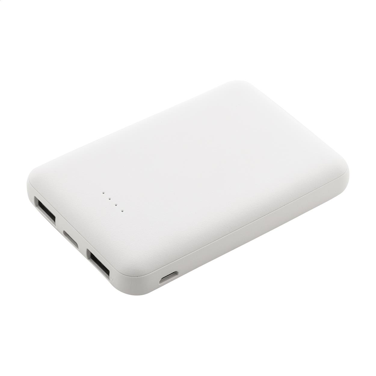 Powerbank RABS