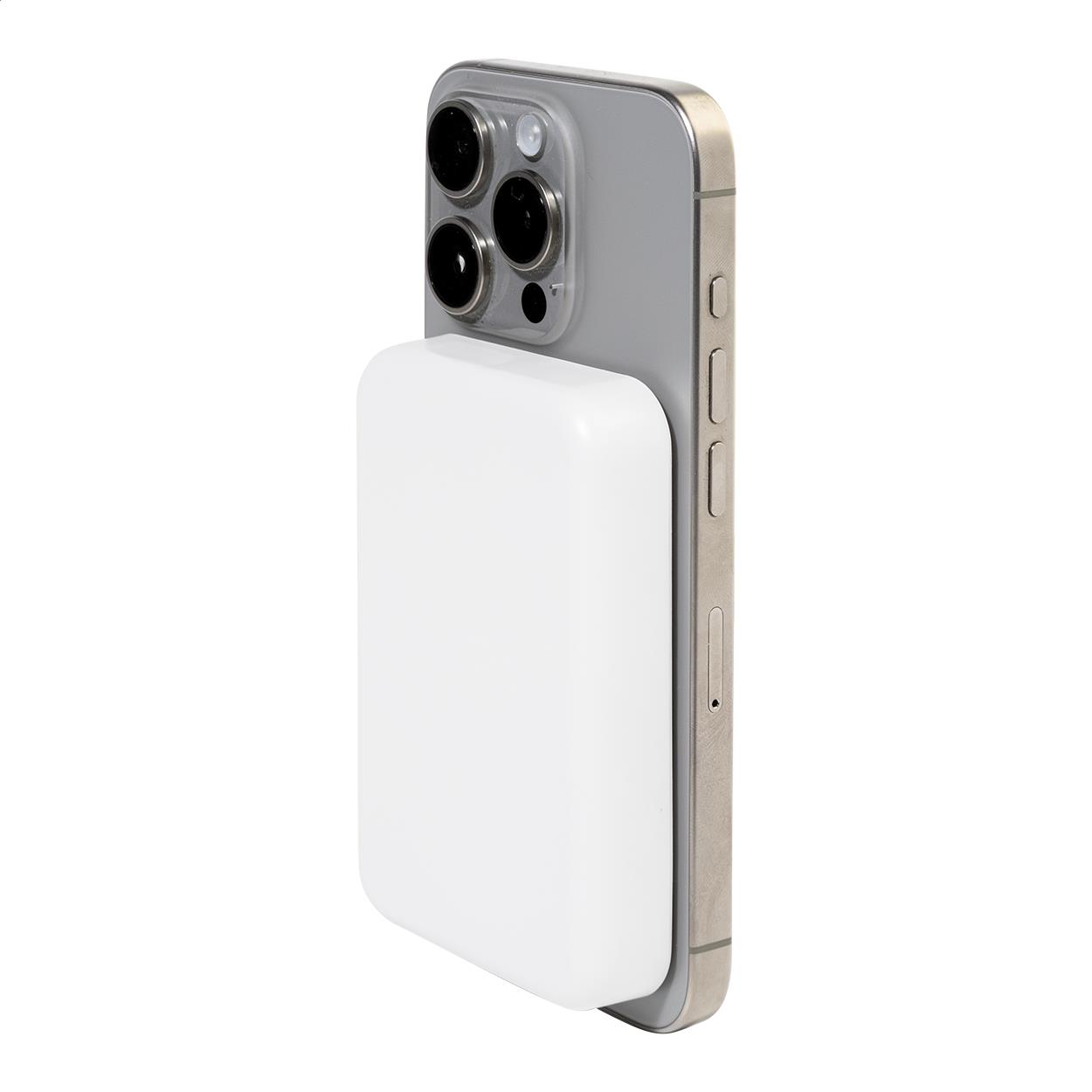 RABS Powerbank
