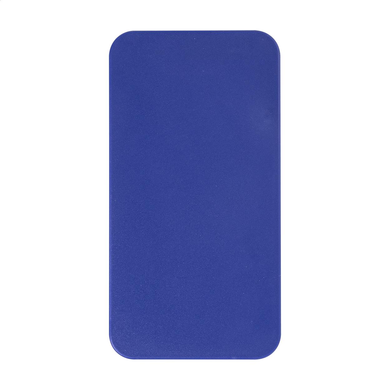 RABS-Powerbank