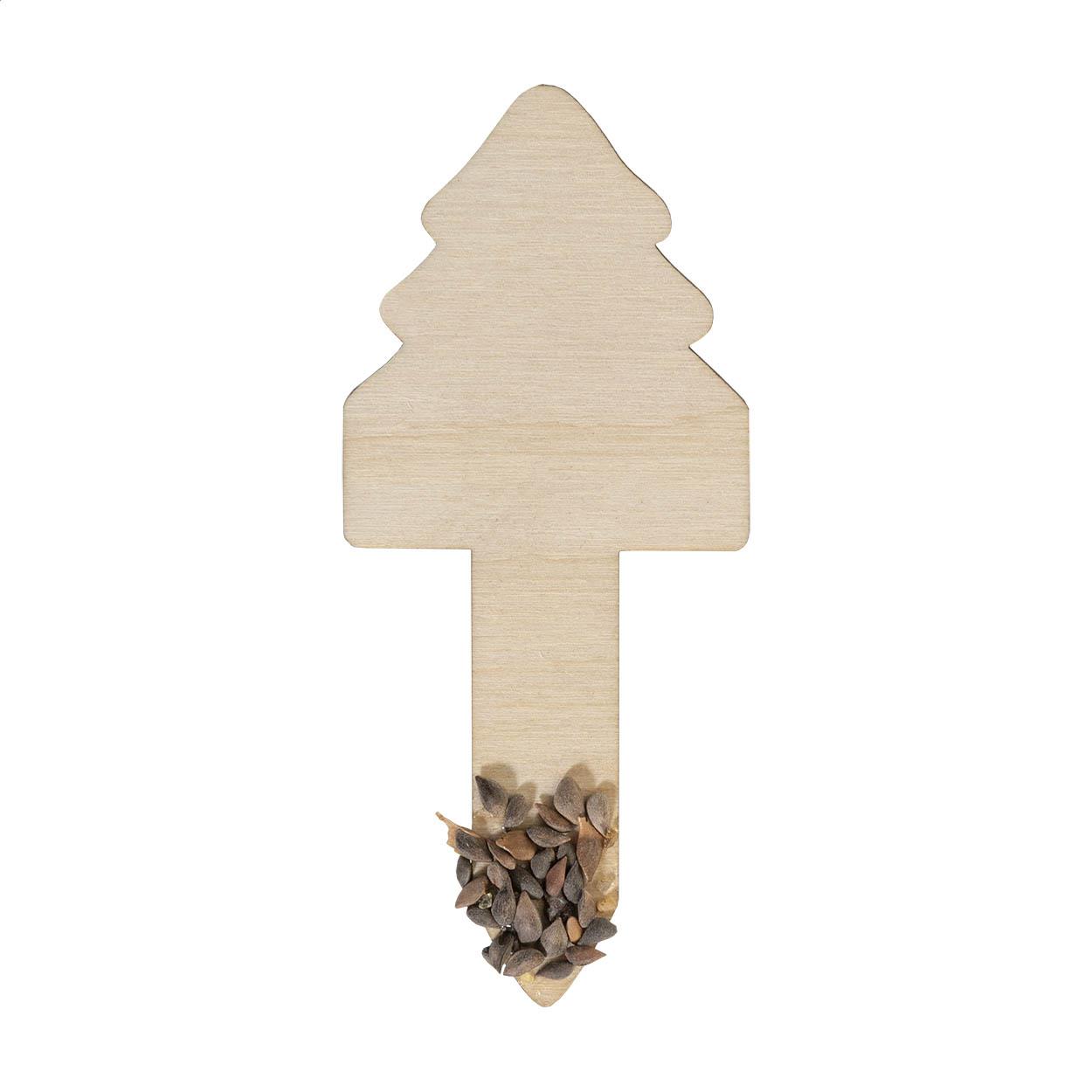 Tannenbaum-Anzuchtset