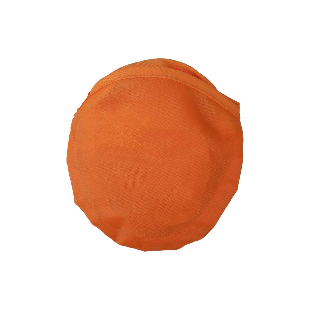 Frisbee