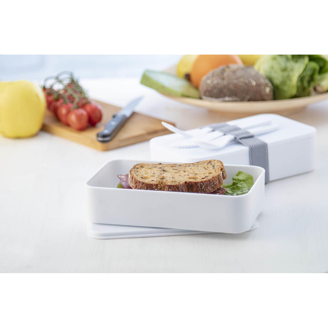 Antibakterielle Lunchbox