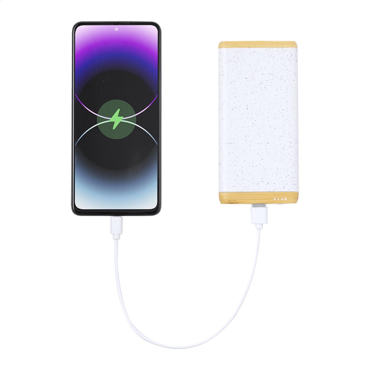 Powerbank