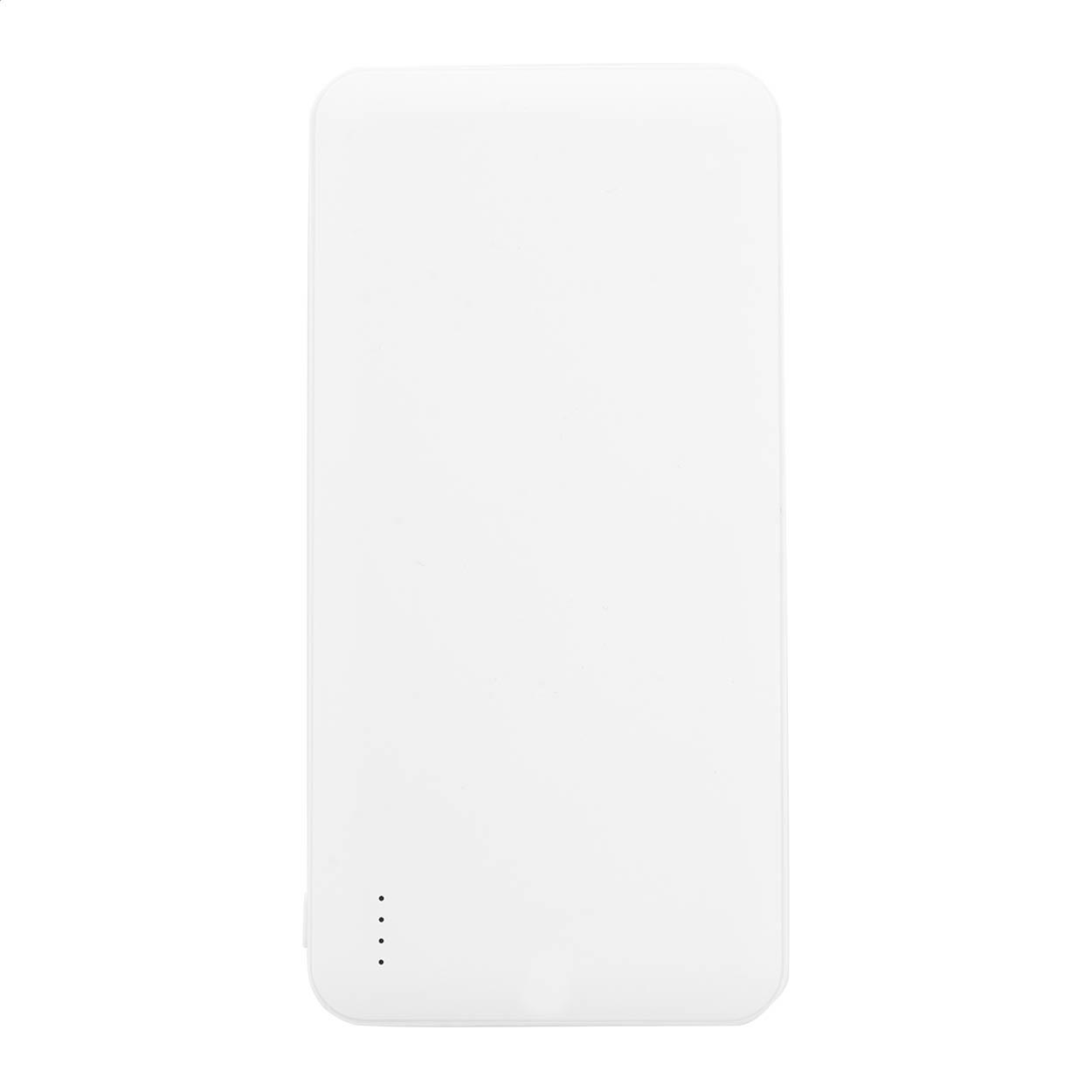 RABS Powerbank