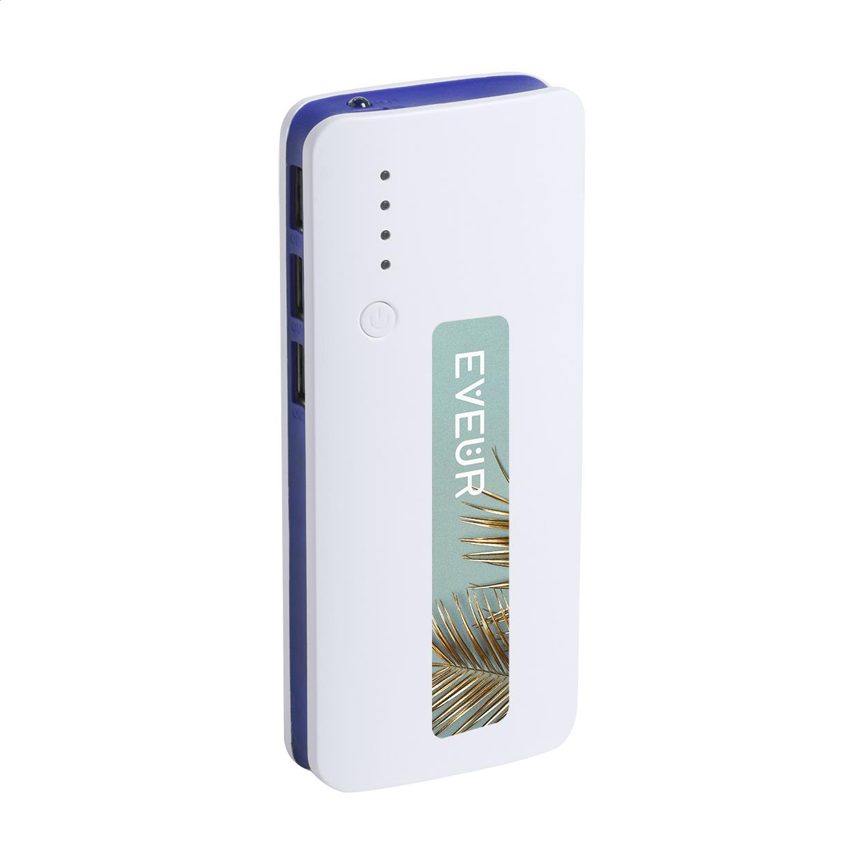 Powerbank