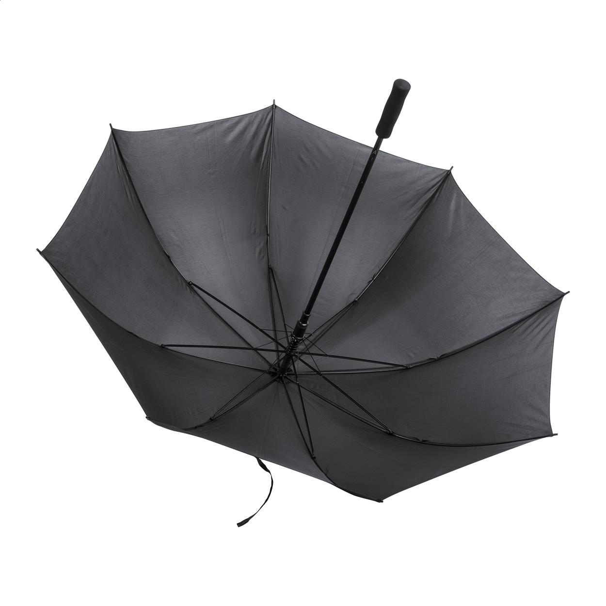 Regenschirm