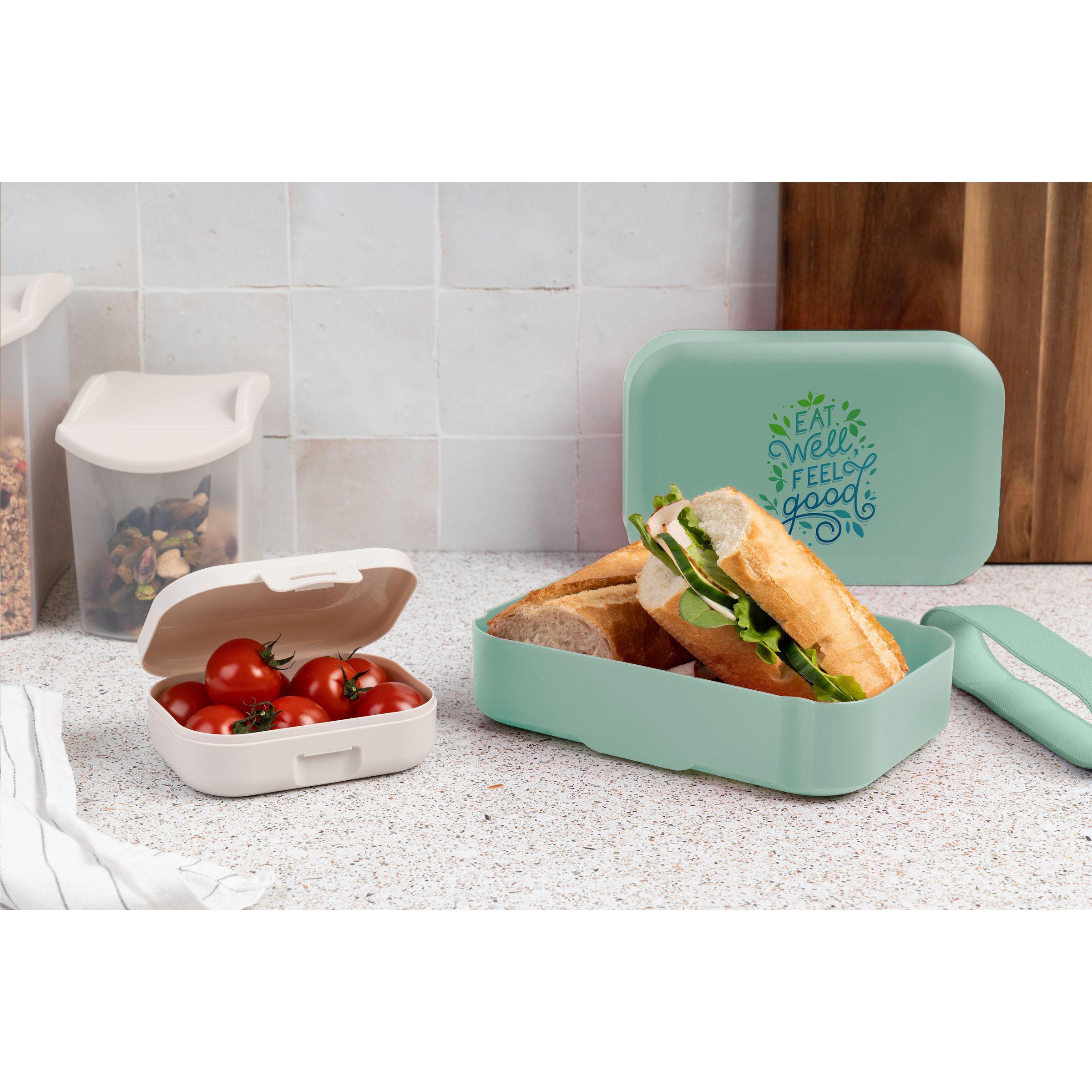 Amuse Classic Lunchbox Medium