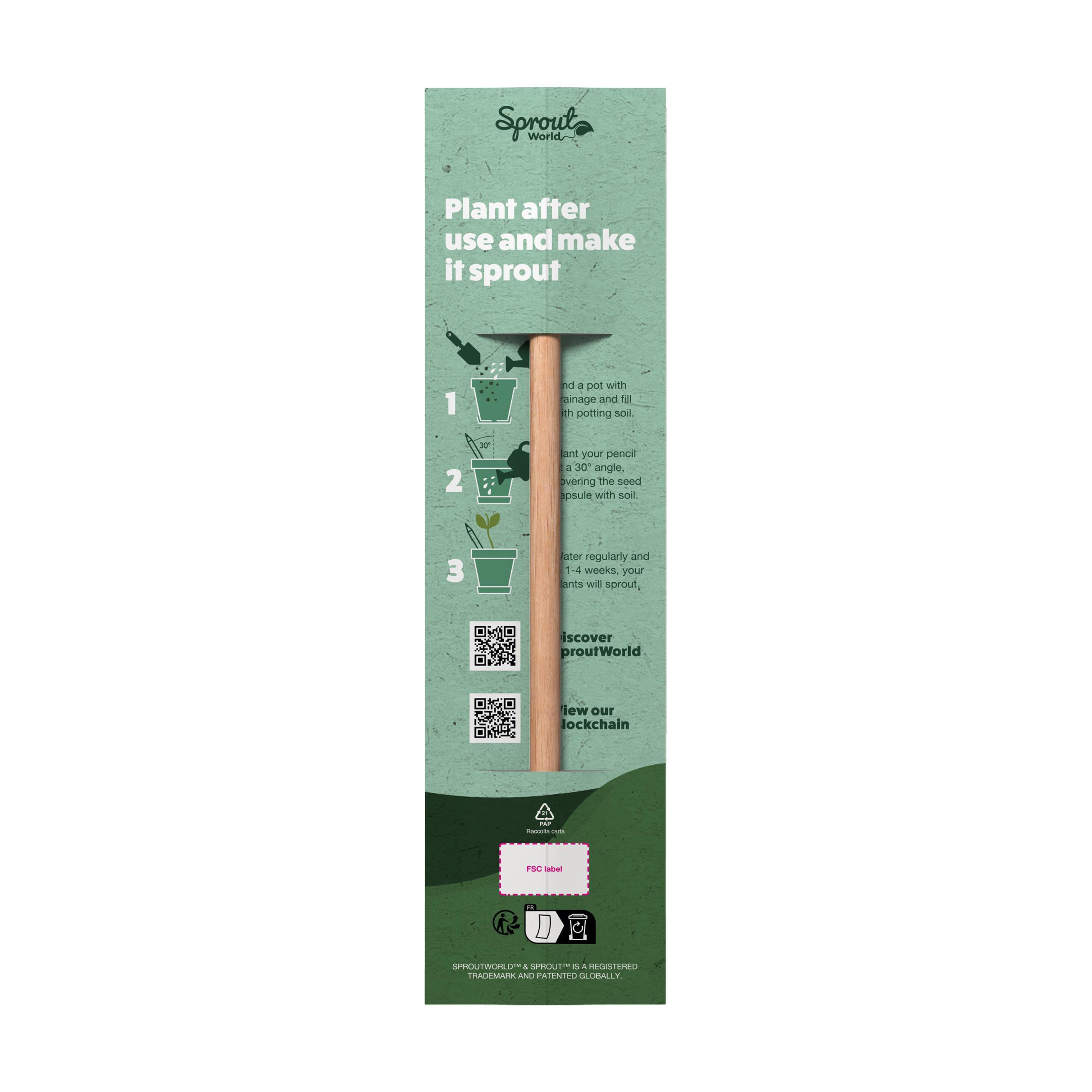 Sproutworld Set: Unsharpened Pencil & Header Card ungespitzter Bleistift